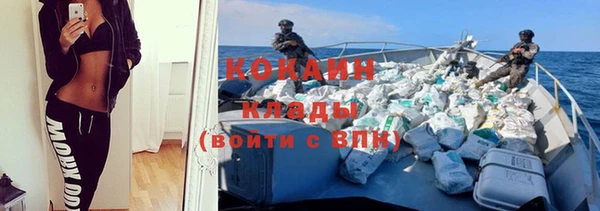 ПСИЛОЦИБИНОВЫЕ ГРИБЫ Белоозёрский