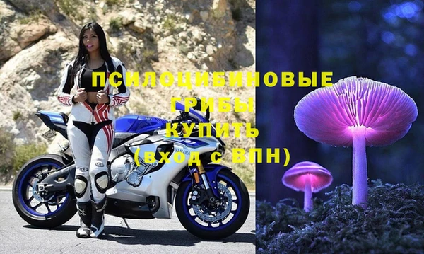 ПСИЛОЦИБИНОВЫЕ ГРИБЫ Белоозёрский