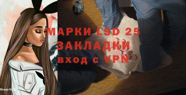 ПСИЛОЦИБИНОВЫЕ ГРИБЫ Белоозёрский