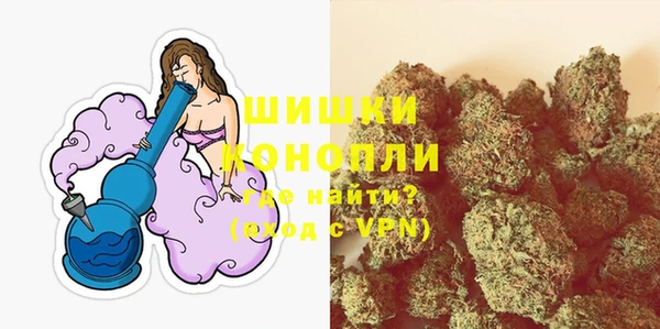 ПСИЛОЦИБИНОВЫЕ ГРИБЫ Белоозёрский